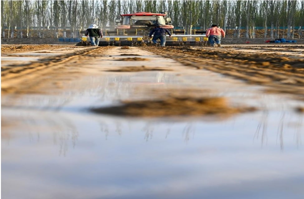 uydu sistemi, tohum, çin