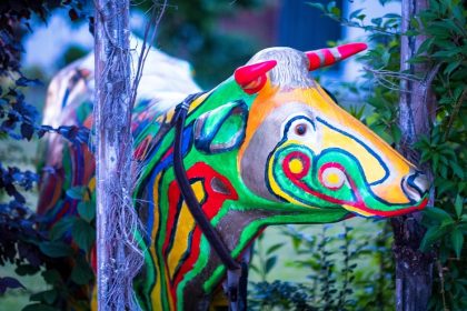 vejetaryenlik, veganlık