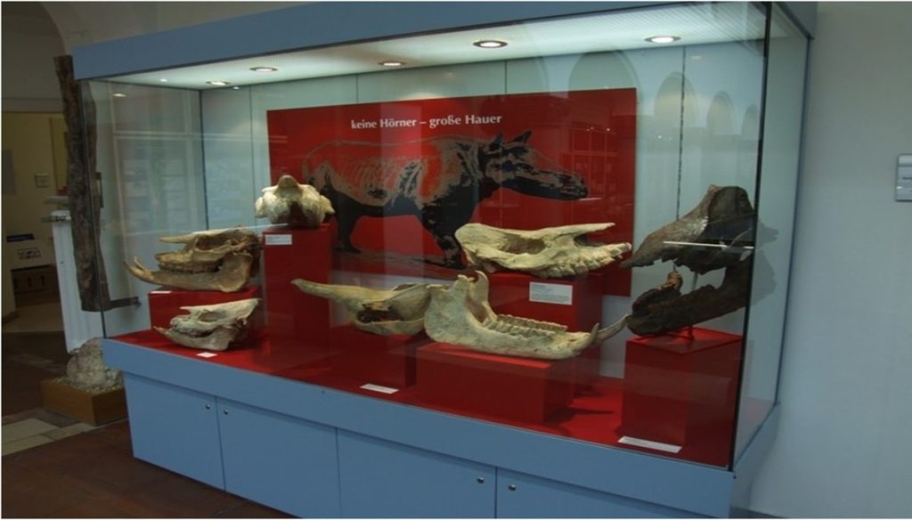 paleogergedan