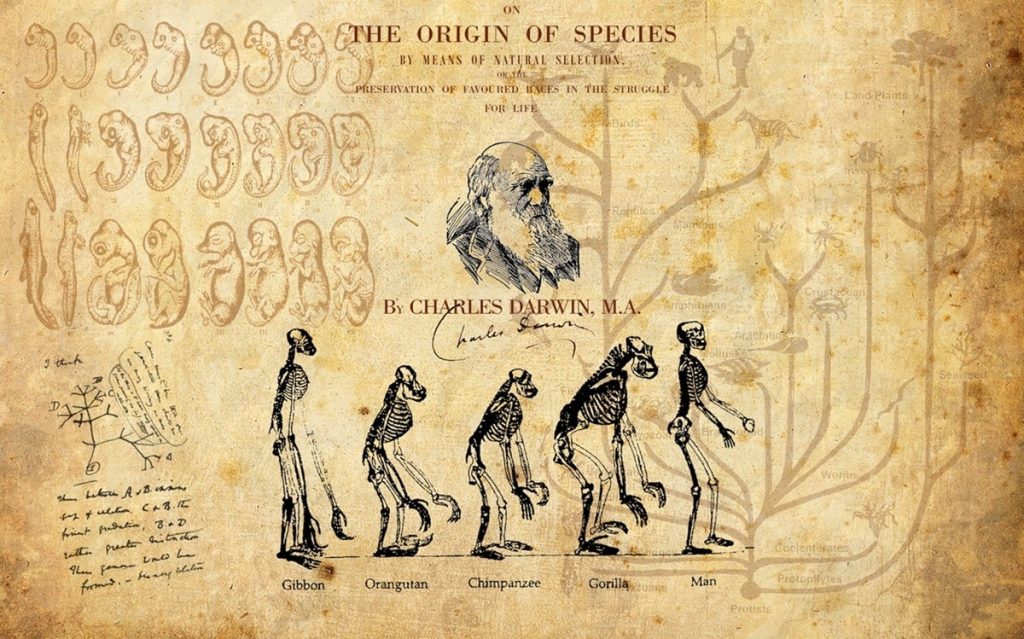 darwin