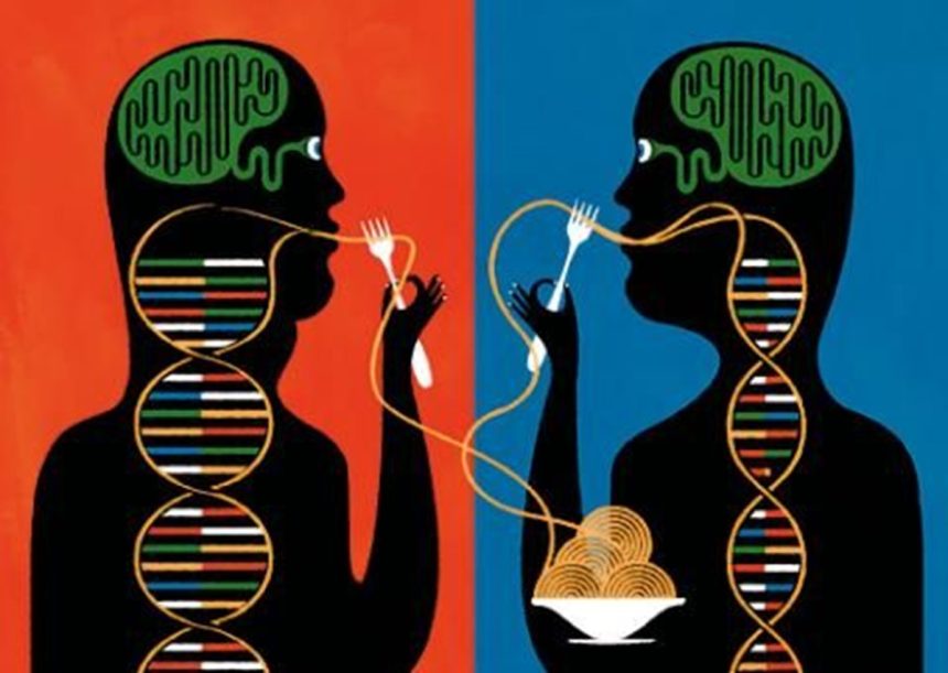 Nutrigenetik bireylerin besinlere nasıl cevap verdiklerini inceleyen bilim dalıdır.