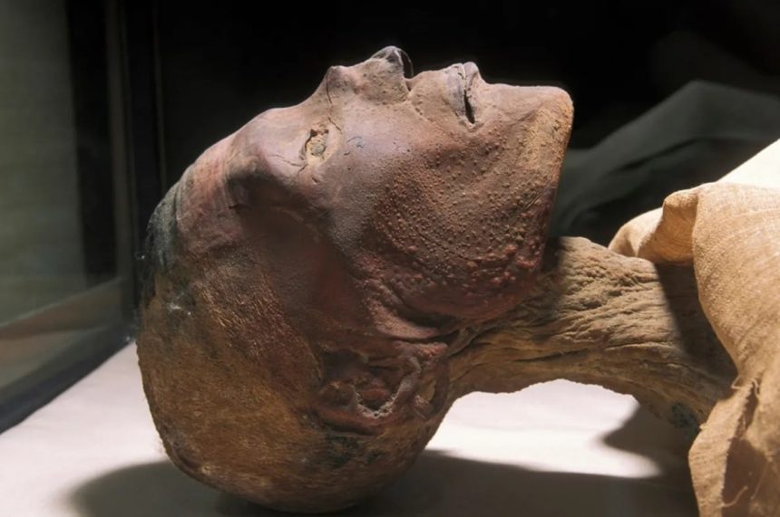 ramses mumya