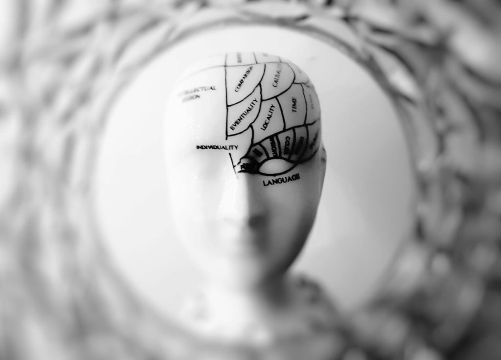 prefrontal korteks
