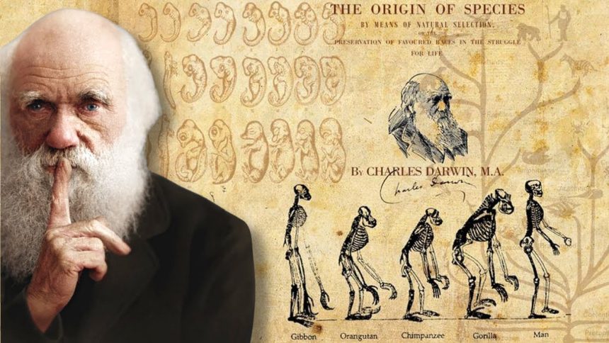 darwin