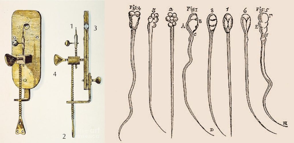 Leeuwenhoek