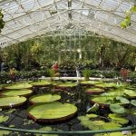 Dünya bu büyüleyici organizmaların farkına yeni yeni varırken, bilim insanları da bu organizmaların ekosistemlerde oynadıkları rolü anlamaya çalışıyor. (Görsel: Pinterest)