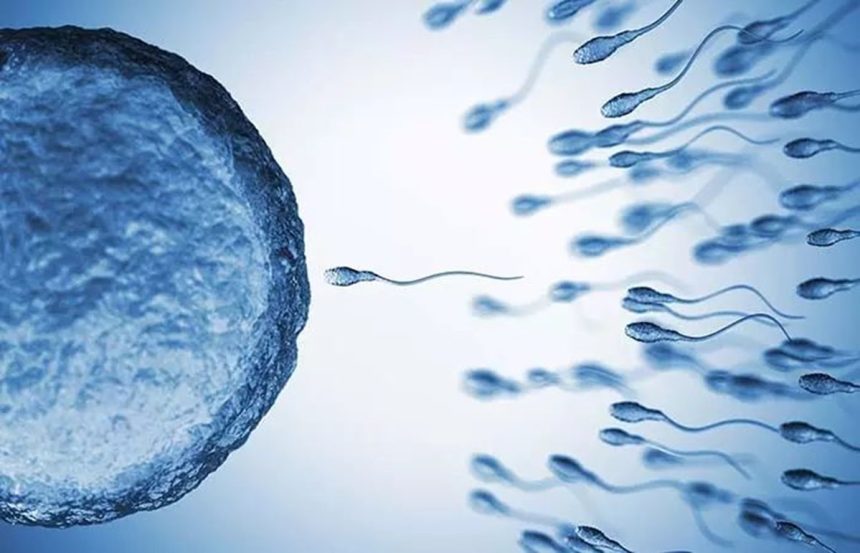 Newton'un üçüncü yasası, "her etki için eşit ve zıt bir tepki vardır" şeklinde ifade edilebilir ve doğada birbirine karşı hareket eden zıt kuvvetlerin oluşturduğu belirli bir simetriyi gösterir.