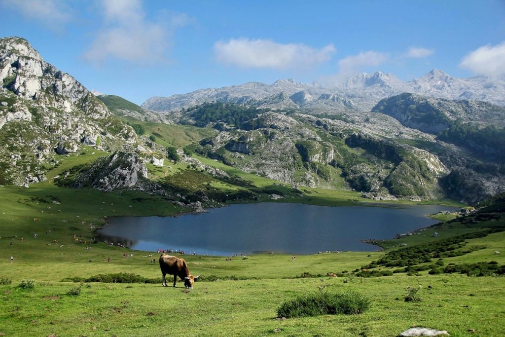 yayla, maden, yol