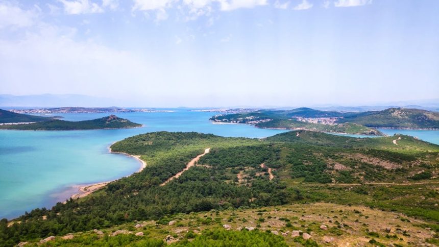 proje