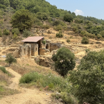 zeytinyağı