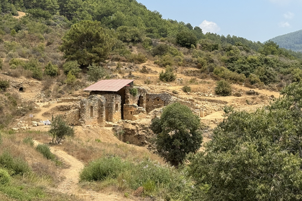 zeytinyağı