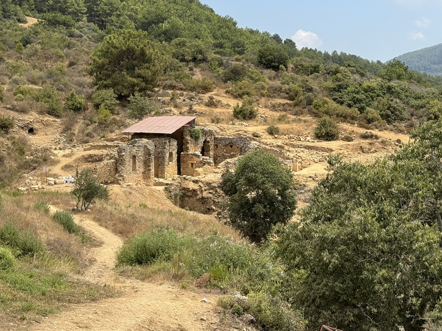zeytinyağı