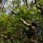 pentagon